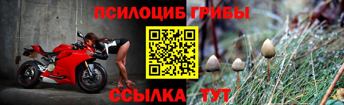 Находка  Псилоцибиновые грибы мицелий  Псилоцибиновые грибы мухоморы  Вход с VPN 